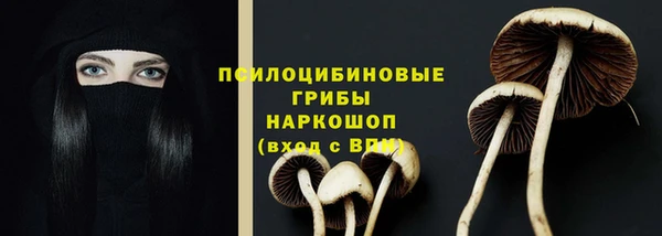 шишки Переславль-Залесский