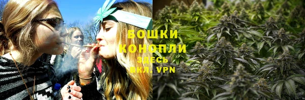 дурь Осташков