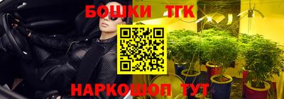 амф Донской