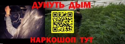 амф Донской