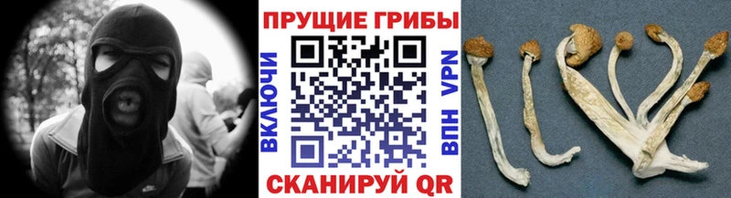 Псилоцибиновые грибы мухоморы  Кировск 