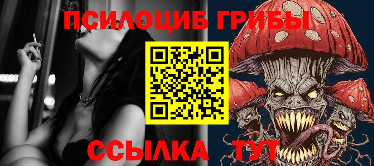 Кировск  купить наркотики цена  Вход с VPN  Псилоцибиновые грибы GOLDEN TEACHER 